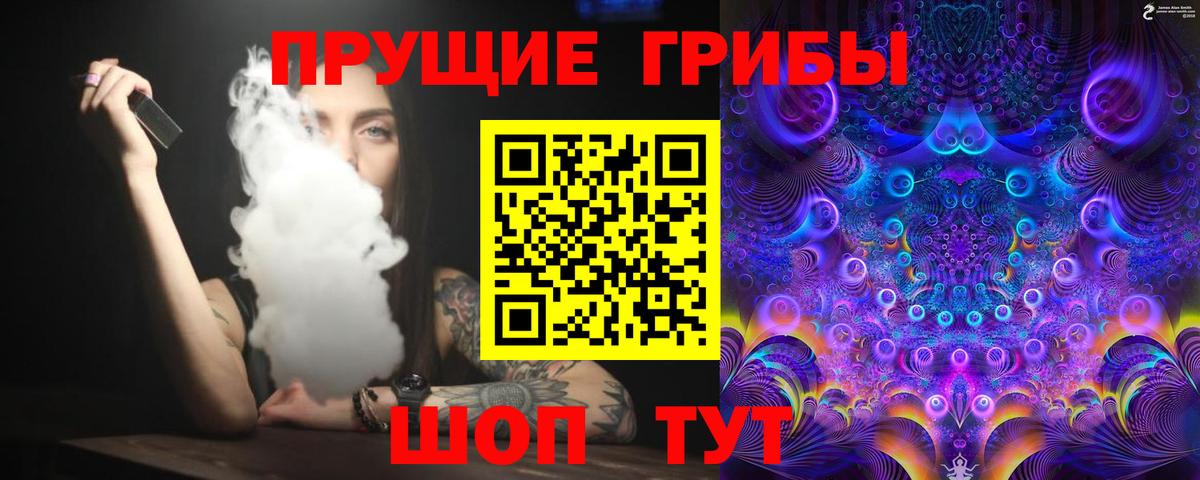 Псилоцибиновые грибы Magic Shrooms  купить  цена  Новоалександровск  Вход с VPN 